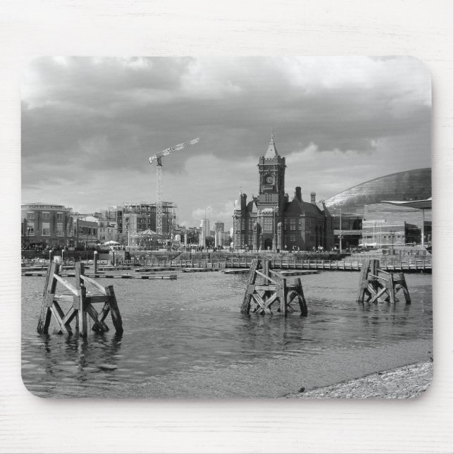 Cardiff Bay, Cardiff, Wales - Black and White Musmatta (Framsidan)