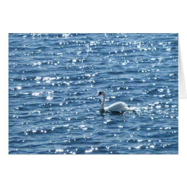 Cardiff Bay, Cardiff, Wales Hälsningskort (Framsidan Horizontal)