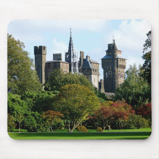 Cardiff Castle II Musmatta (Framsidan)