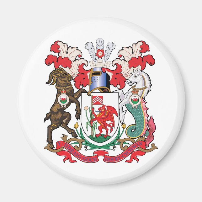 Cardiff Jackar Arm Magnet (Framsidan)