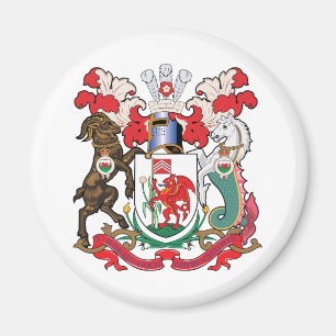 Cardiff vapensköld magnet