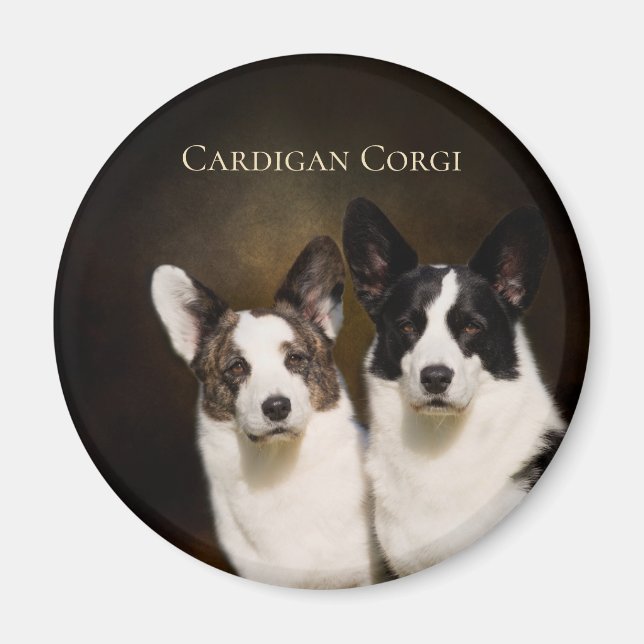 Cardigan Corgi Fridge Magnet (Framsidan)