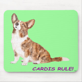 Cardigan corgi musmatta
