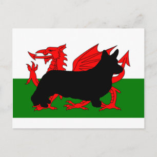 Cardigan welcorgi silhouette flagga vykort