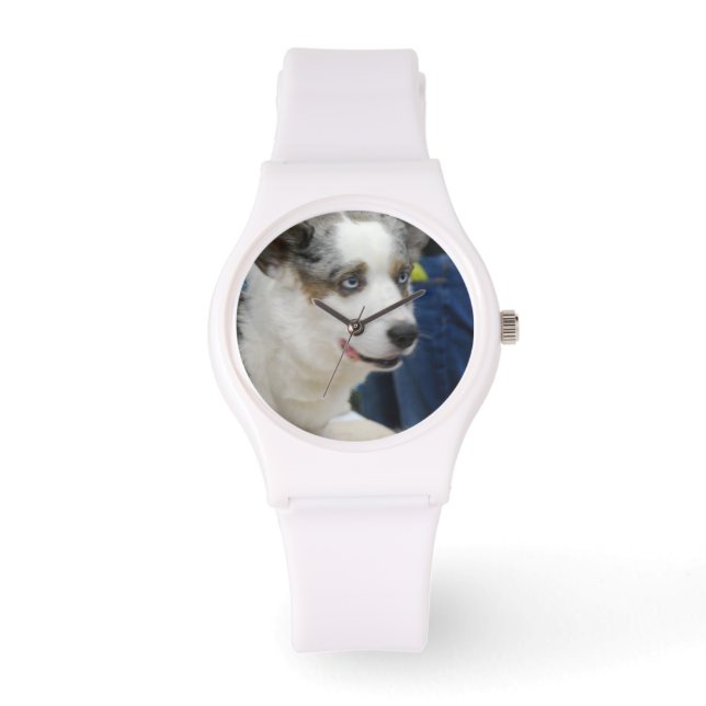 Cardigan Welsh Corgi Hund Armbandsur (Framsida)