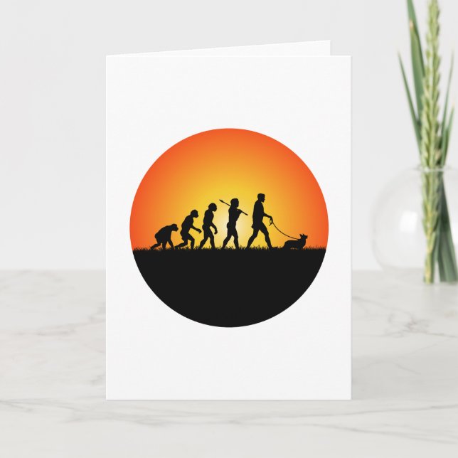 Cardigan Welsh Corgi Kort (Framsida)