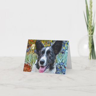 Cardigan Welsh Corgi Kort