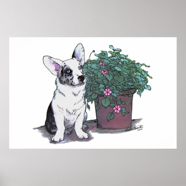 Cardigan Welsh Corgi Print ~ Blue Merle Poster (Framsidan)