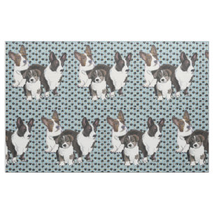Cardigan Welsh Corgi Tyg