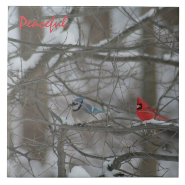 Cardinal and Jay Kakelplatta (Framsidan)