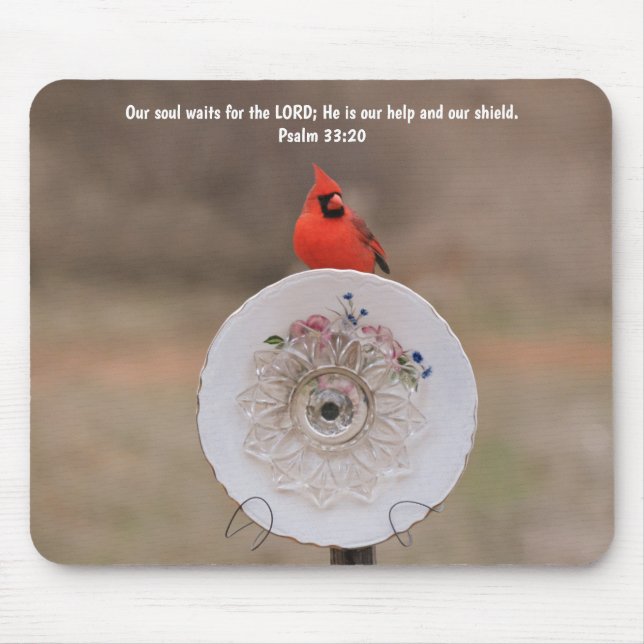 Cardinal Bird and Plate Flower Faith Bible Verse Musmatta (Framsidan)