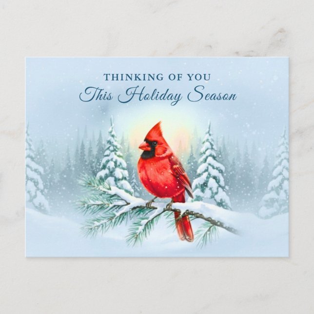 Cardinal Bird Sympathy Condolence Christmas Winter Helg Vykort (Framsida)