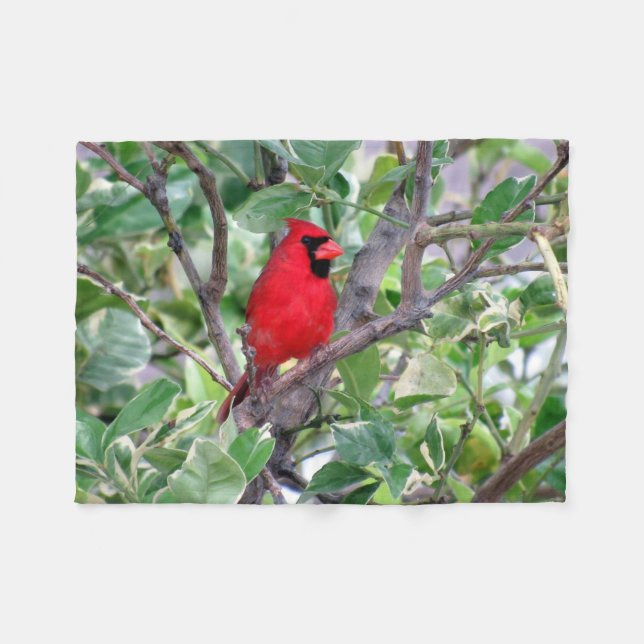 Cardinal Fleece Blanket (Framsidan (Horisontell))