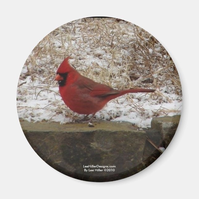 Cardinal Hot Springs Nat. Park Mountain AR-present Magnet (Framsidan)