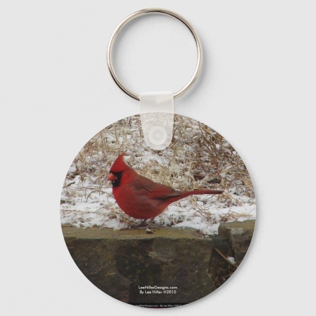 Cardinal Hot Springs Nat. Park Mountain AR-present Nyckelring (Framsida)