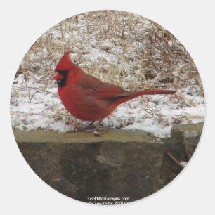 Cardinal Hot Springs Nat. Park Mountain AR-present Runt Klistermärke
