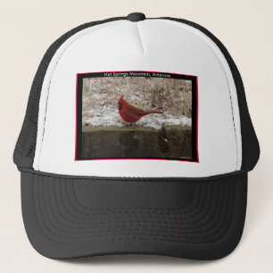 Cardinal Hot Springs Nat. Park Mountain AR-present Truckerkeps