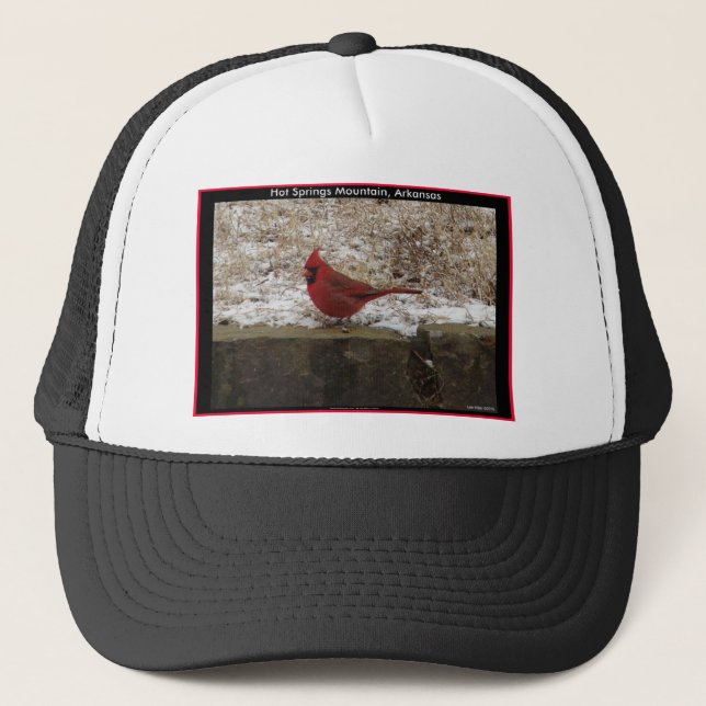Cardinal Hot Springs Nat. Park Mountain AR-present Truckerkeps (Framsida)
