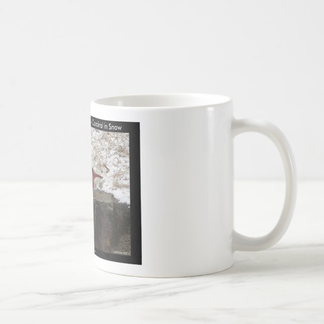 Cardinal Hot Springs Nat. Park Mt AR presenter klä Kaffemugg (Höger)