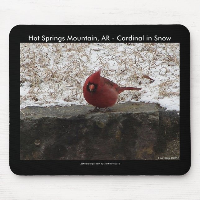 Cardinal Hot Springs Nat. Park Mt AR presenter klä Musmatta (Framsidan)