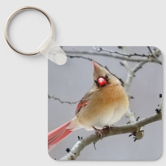 Cardinal_keychain Nyckelring (Framsida)