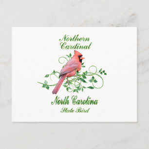 Cardinal North Carolina State Bird Vykort