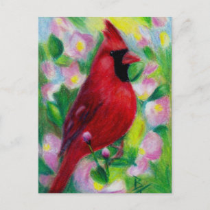 Cardinal Postcard Vykort