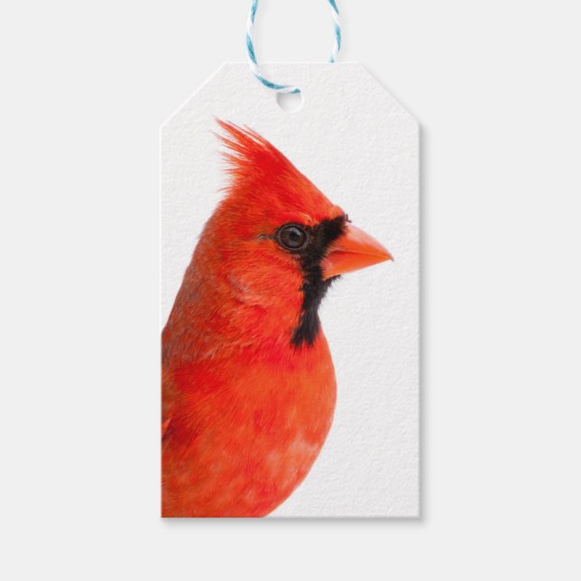 Cardinal Presentetikett (Framsidan)