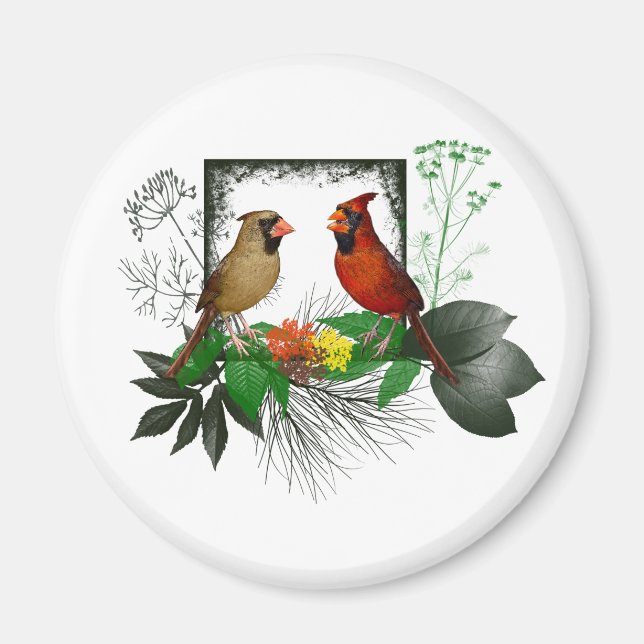 Cardinals Corner Magnet (Framsidan)