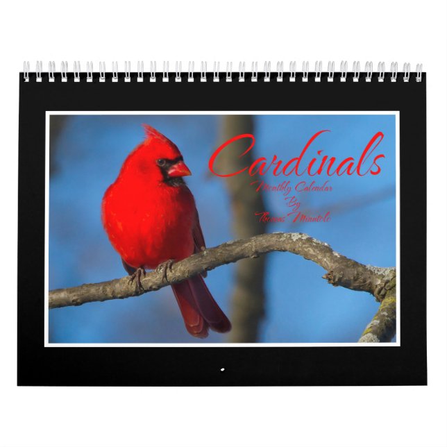 Cardinals Monthly Calendar By Thomas Minutolo Kalender (Omslag)