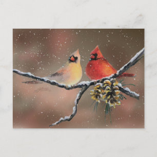 CARDINALS & SNÖ by SHARON SHARPE Vykort