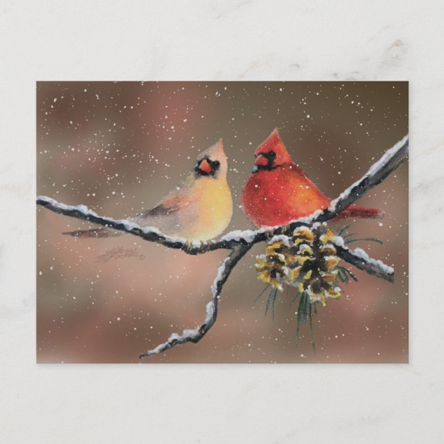 CARDINALS & SNÖ by SHARON SHARPE Vykort (Framsida)