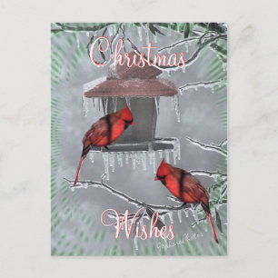 CardinalsIcyFeederPostcard-skräddarsy Helg Vykort