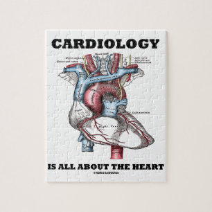 Cardiology är All om (den Anatomical) hjärtan, Pussel