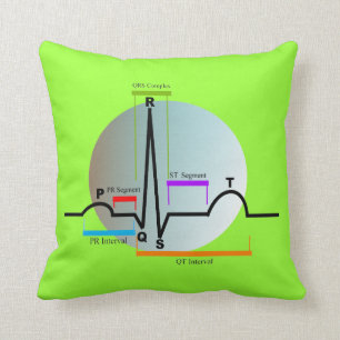 Cardiology kudder QRS segmenterar Kudde