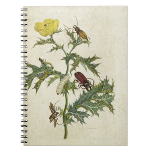 Cardos Spinosus: Skalbaggar och Caterpillars, Anteckningsbok Med Spiral