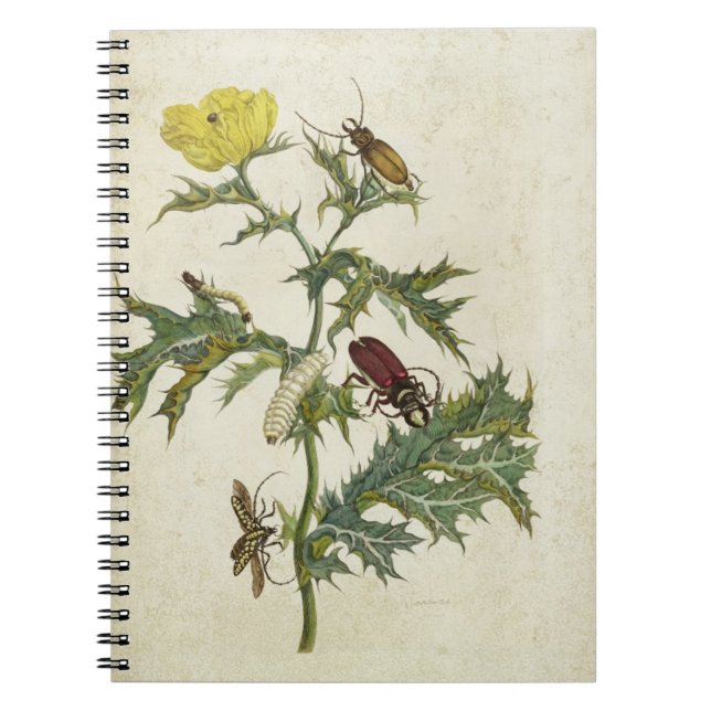 Cardos Spinosus: Skalbaggar och Caterpillars, Anteckningsbok Med Spiral (Framsidan)