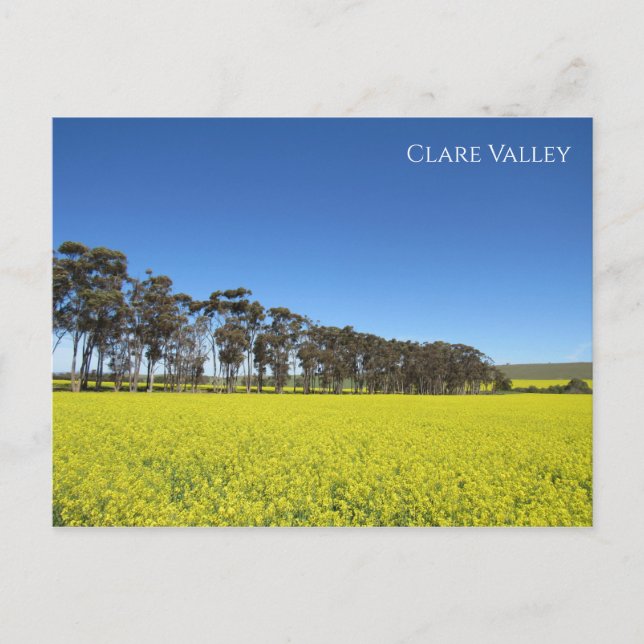 Care canola valley vykort (Framsida)