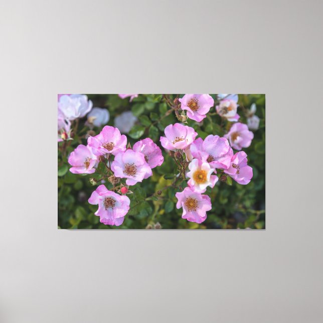 Carefree Delight Canvastryck (Framsida)