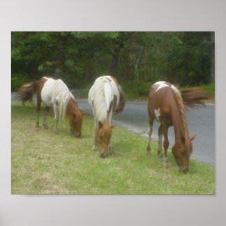 Carefree Ponies Poster