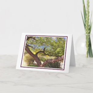 Carefree Träd Blank Card Kort