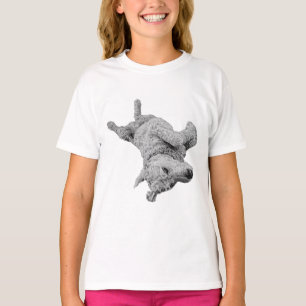 Carefree Valp Spirit T Shirt