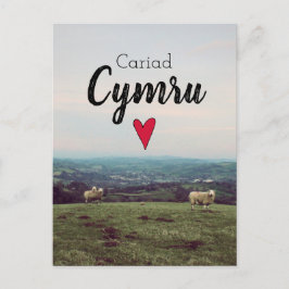 Cariad Cymru Vintage Wales Landscape Farm Får Vykort