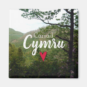Cariad Cymru Wales Backe Landcape Djävulen Bridge Magnet
