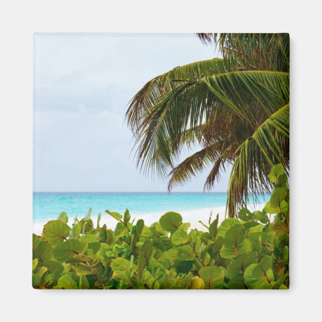 CARIBBEAN BEACH - BARBADOS MAGNET (Framsidan)