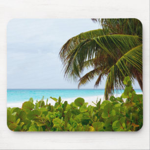 CARIBBEAN BEACH - BARBADOS MUSMATTA