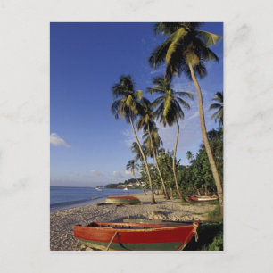 CARIBBEAN, Grenada, St George, Boats på handflatan Vykort