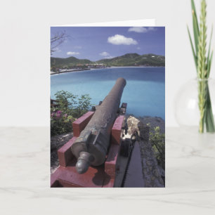 CARIBBEAN, St. Barts, Connon into Bay of Kort
