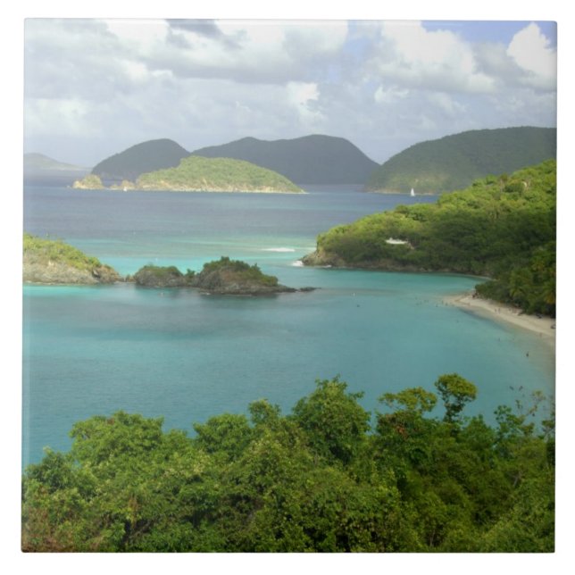 Caribbean, U.S. Virgin Islands, St. John, Trunk 2 Kakelplatta (Framsidan)