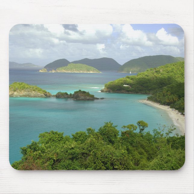 Caribbean, U.S. Virgin Islands, St. John, Trunk 2 Musmatta (Framsidan)
